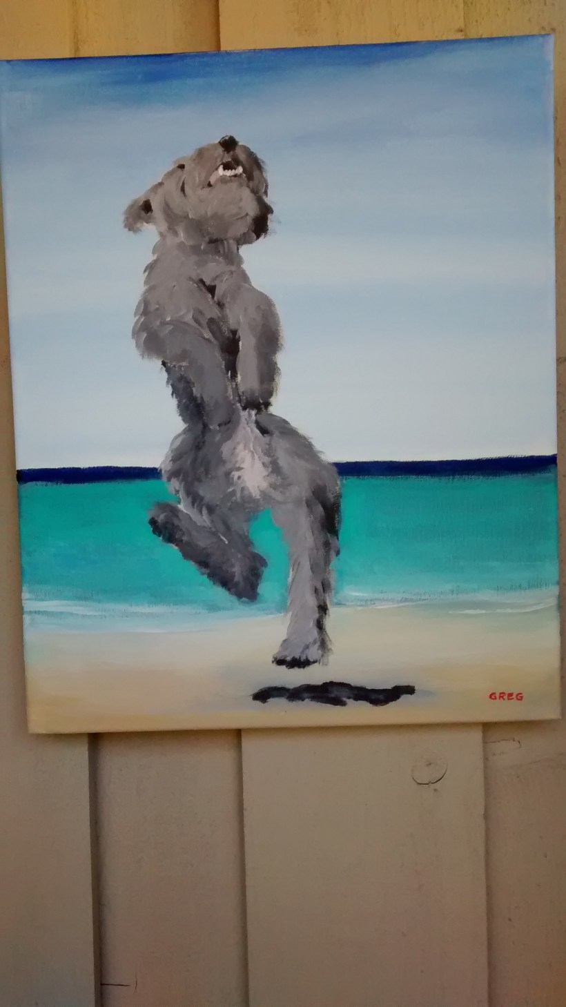 IMG_20170716_184511221