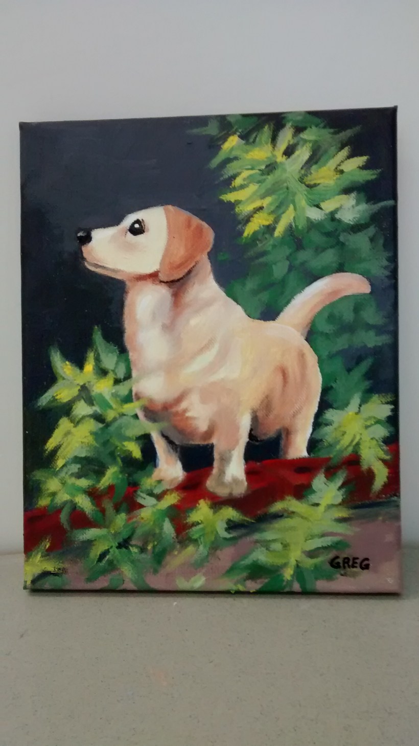 IMG_20180702_141416067